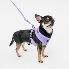 Puppia arnés-cierre-quick-release-violeta, uso rápido y práctico.