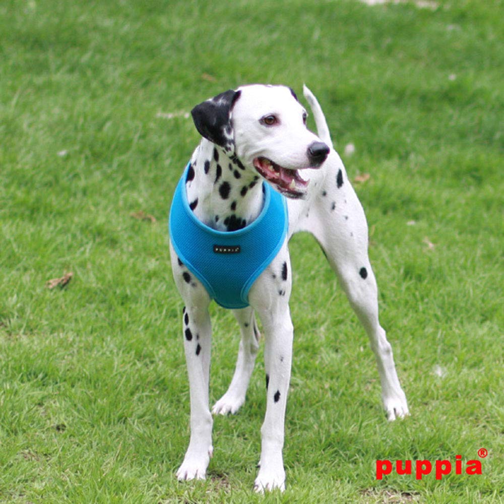 Arnés Puppia con ajuste de pecho y hebilla rápida para facilitar ponértelo.
