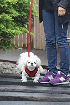 Puppia arnés perro cuello acolchado mejora confort durante paseos.