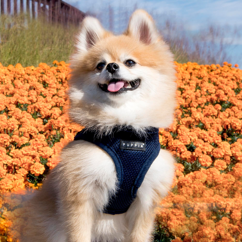 Puppia arnés suave con costuras reforzadas para mayor durabilidad.
