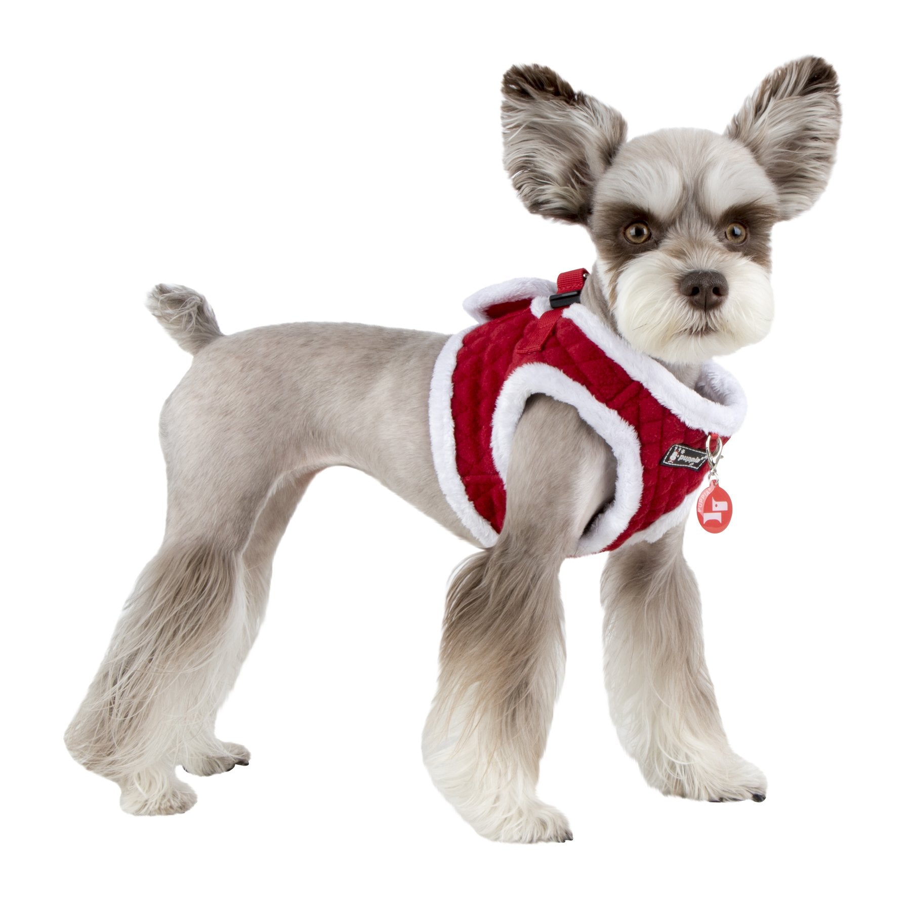 Puppia Blitzen Vest detalle de cierre de velcro para facilidad