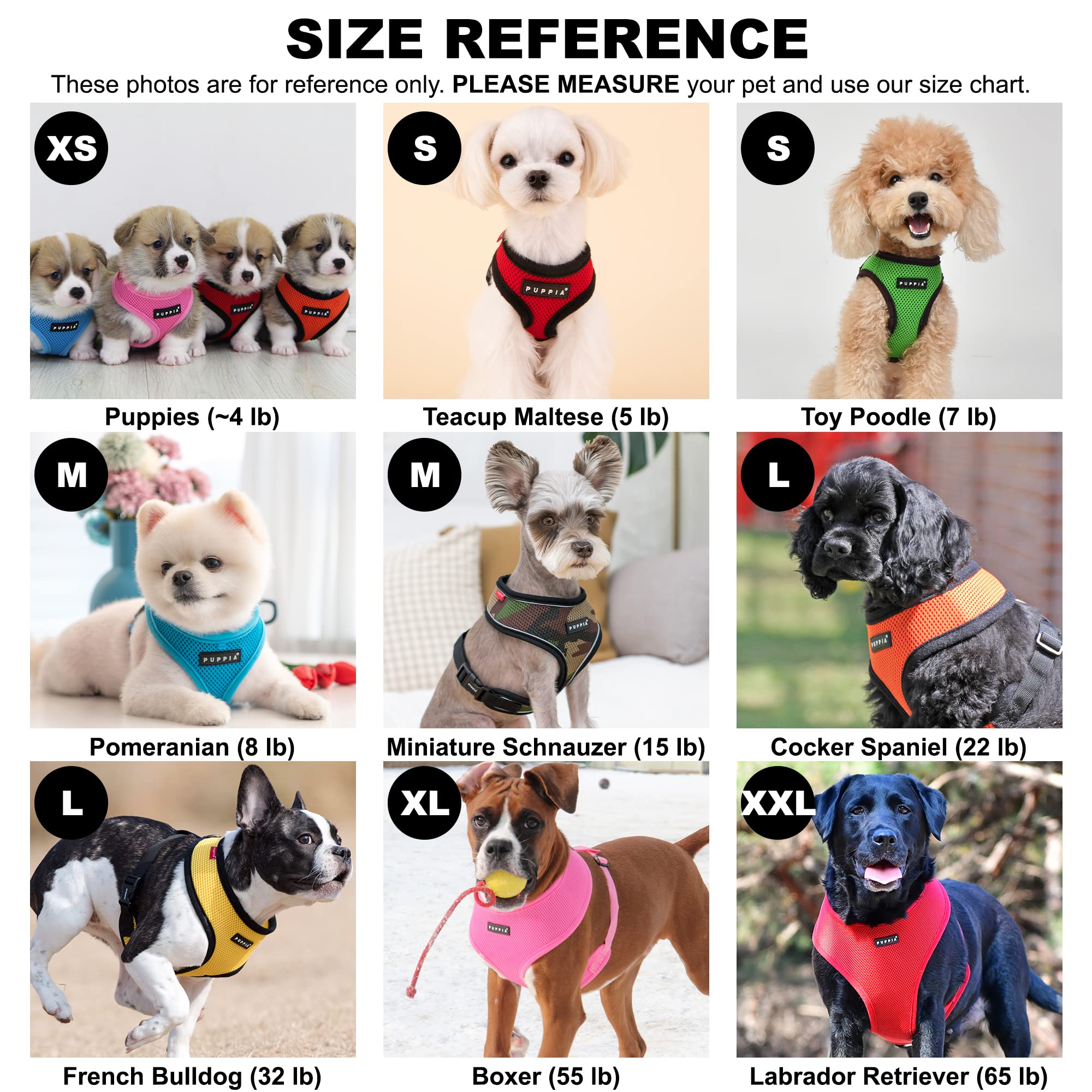 Etiqueta de goma Puppia, toque de estilo y durabilidad en el arnés