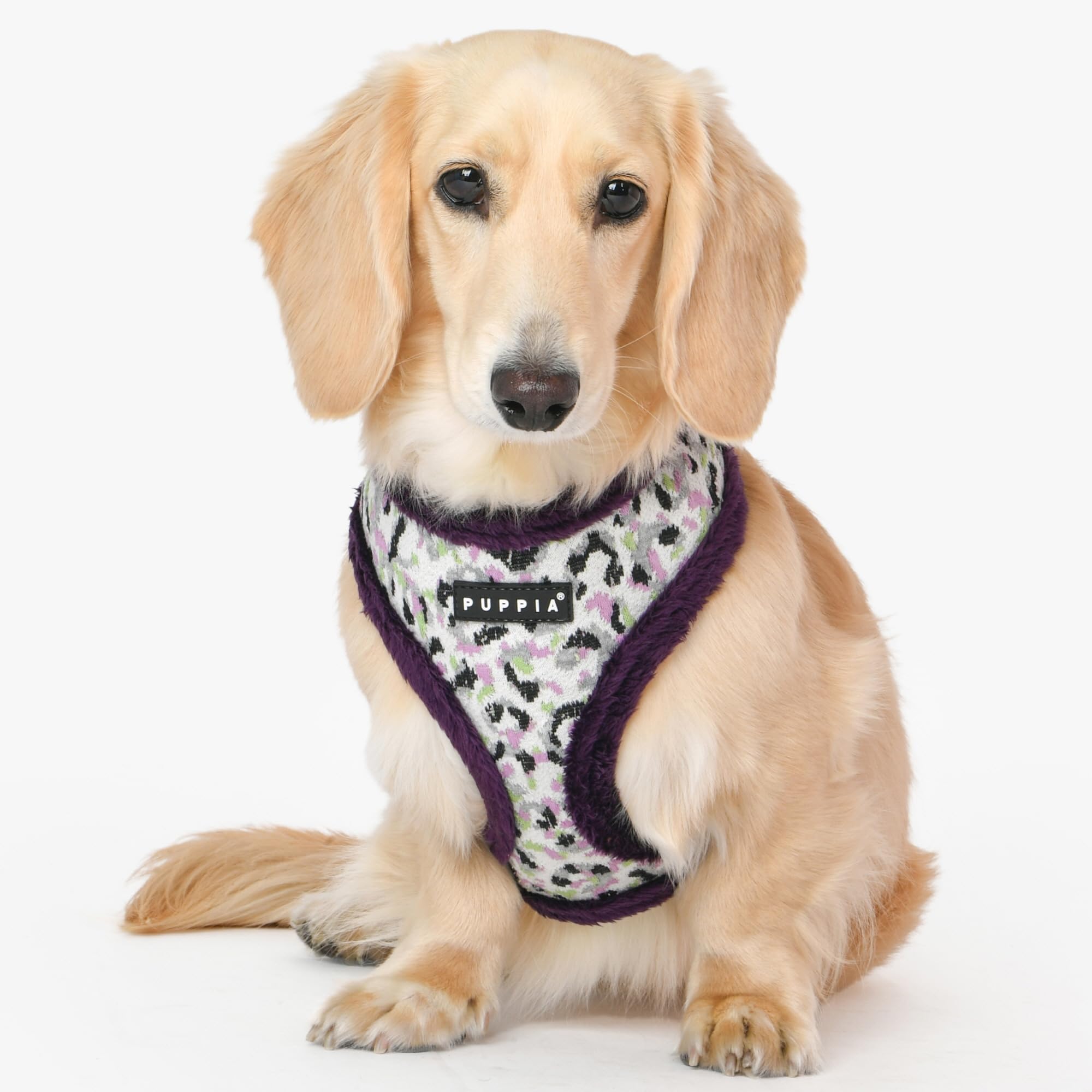Arnés Puppia Huxley con ajuste de pecho, recomendado para perros pequeños y medianos.