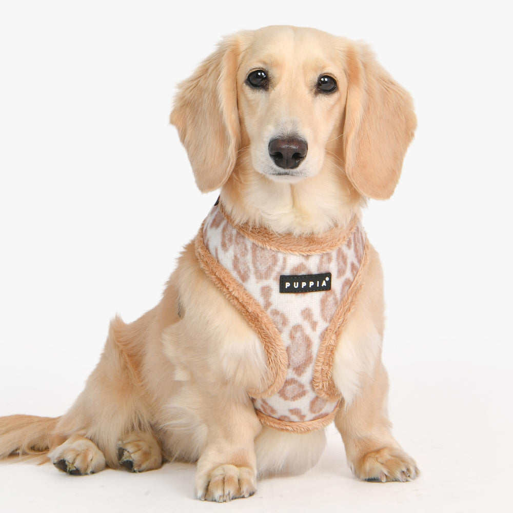 Puppia Kovo arnés con anilla D trasera ajustable, ideal para control suave