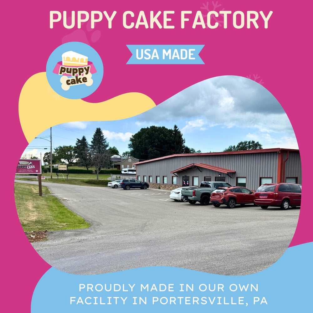 Puppy Cake Gateau Fete Chien: moment joyeux partagé avec votre animal.