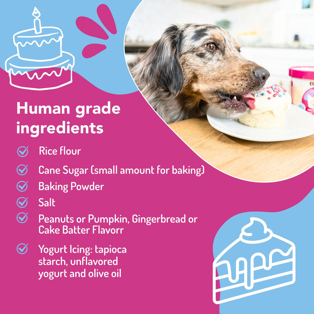 Puppy Cake microondas-torta-para-perro, solución rápida para una merienda especial.
