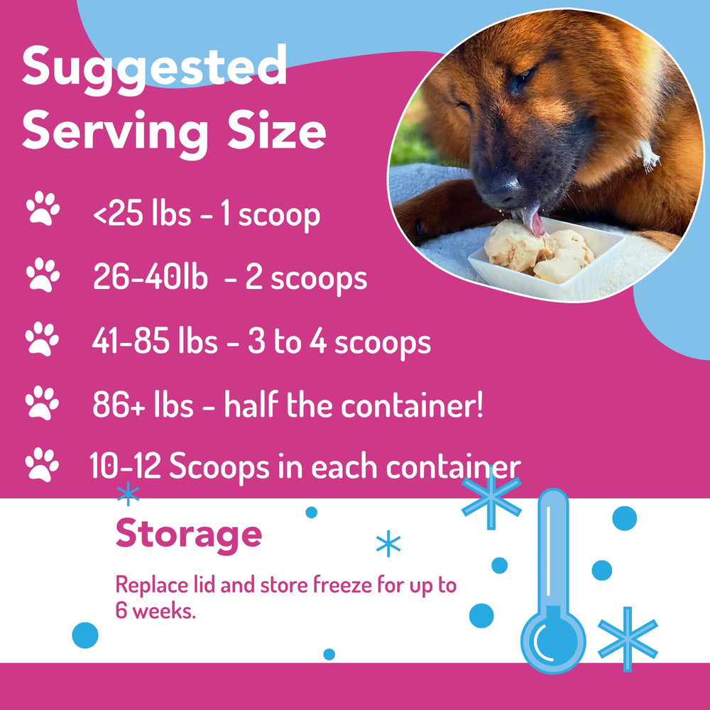 Puppy Scoops congela en casa, helado real para perros.