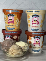 Puppy Scoops servido en vaso para perros en casa