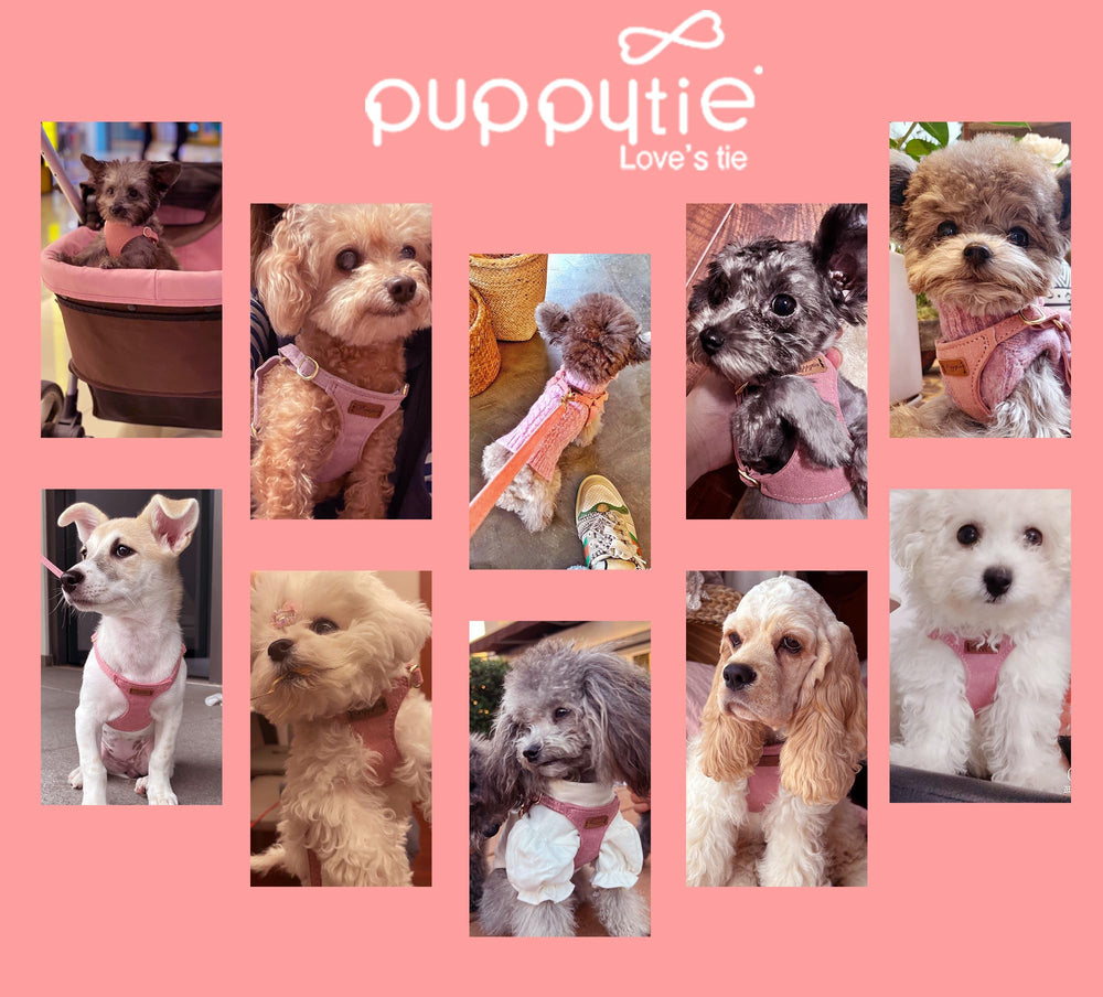 Puppytie accesorios integrados para llaves y basura en la correa incluida.
