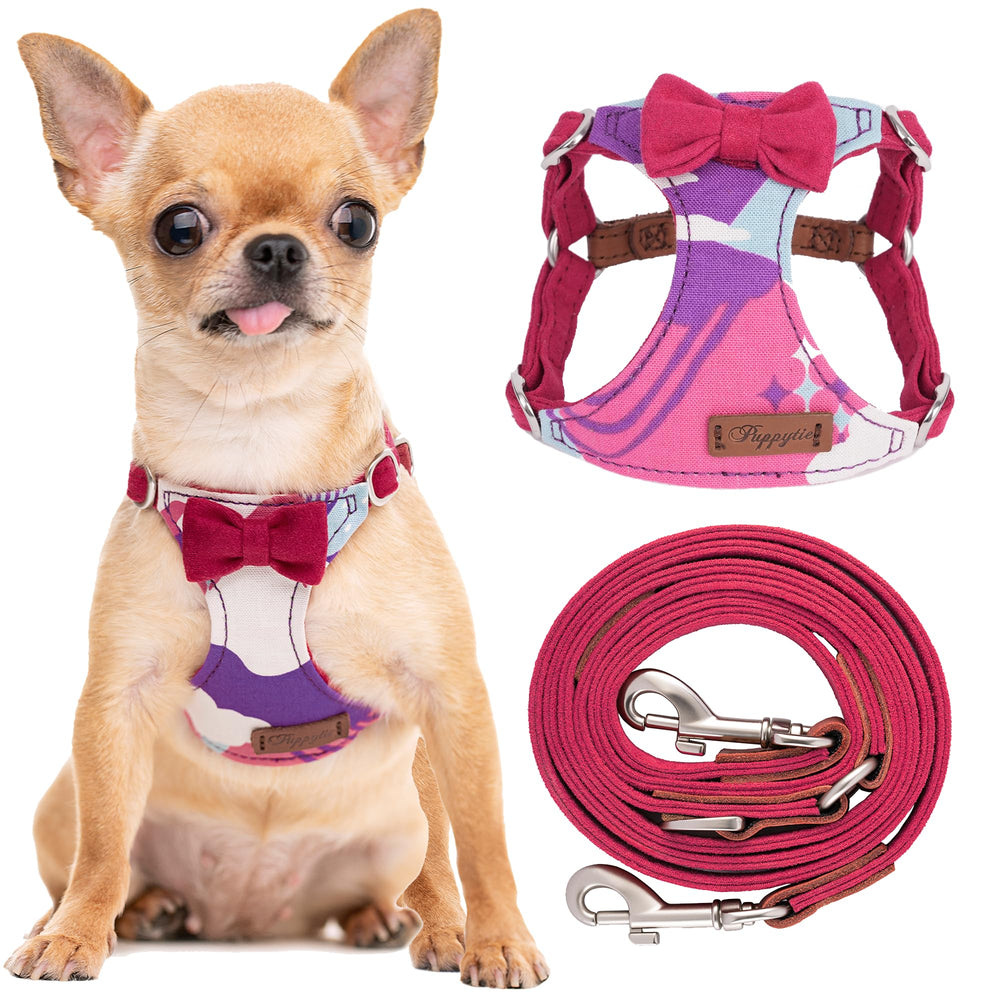 Puppytie arnés No Pull XS visto de frente, cómodo y seguro para paseos