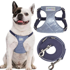 Puppytie arnés sin tirón XS en azul brillante para paseos suaves