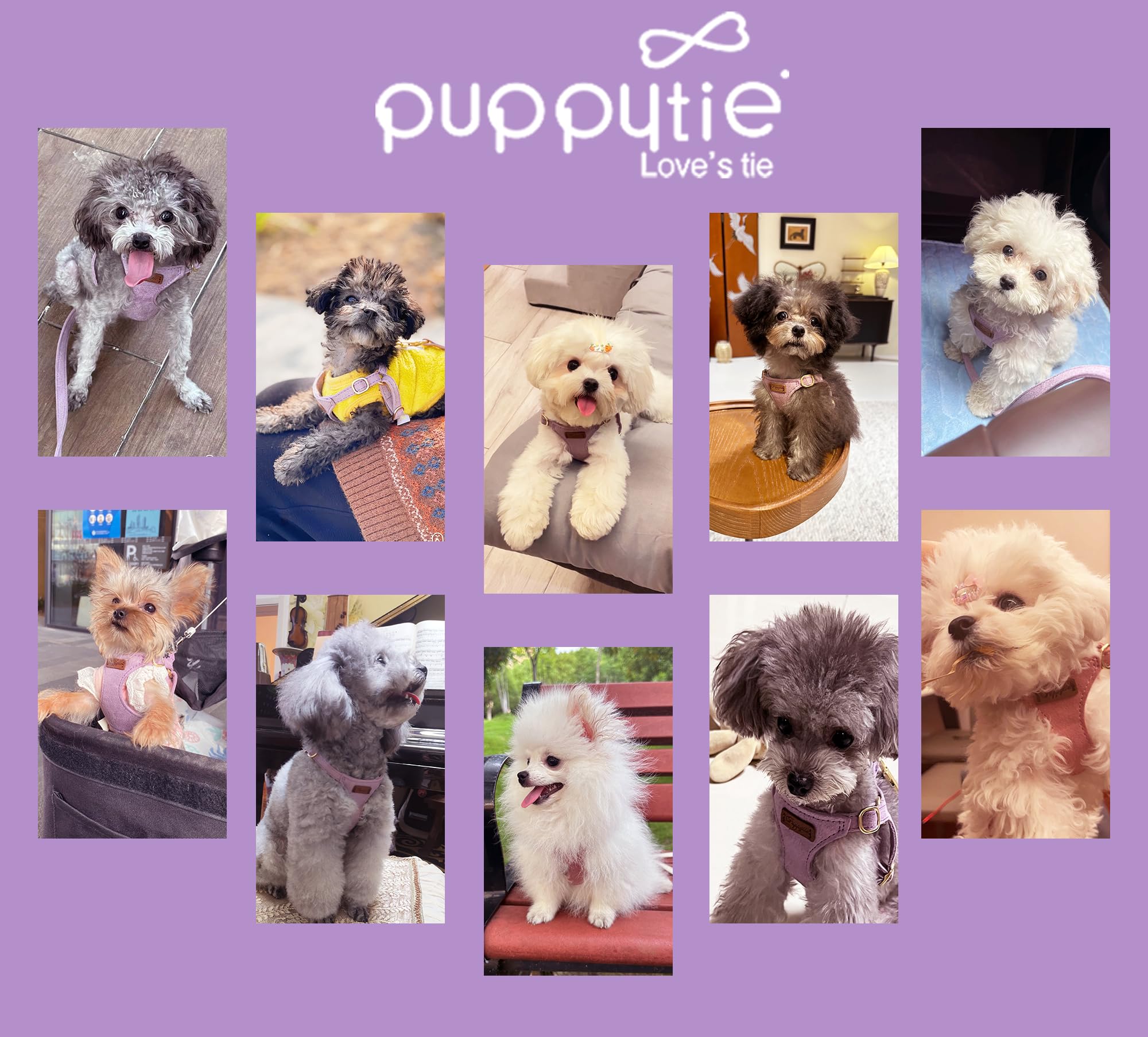 Puppytie Arnes XS, acabados de hardware resistentes para uso diario