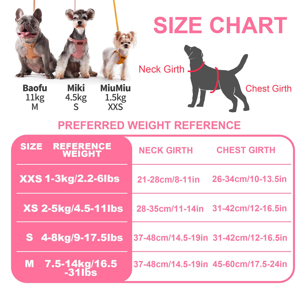 Puppytie correa con porta llaves y bolsa para paseos prácticos.
