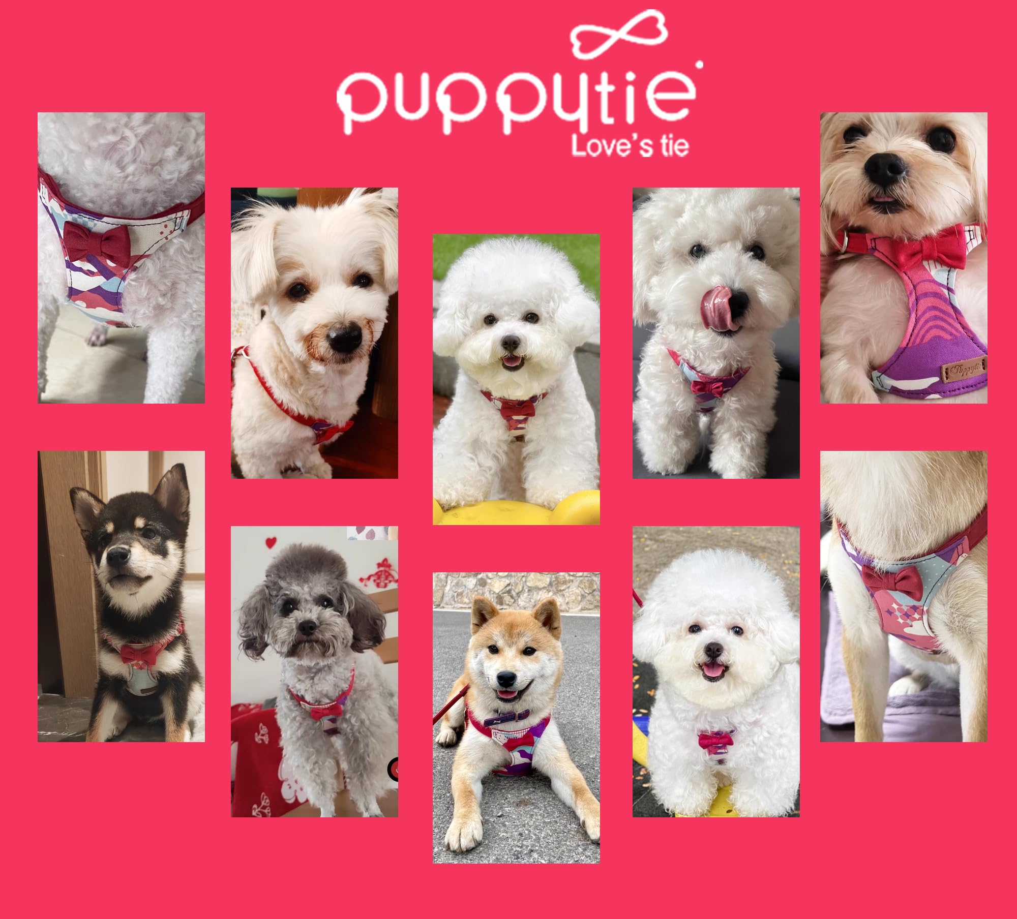 Puppytie dos usos de correa con bolsillo para llaves o bolsas