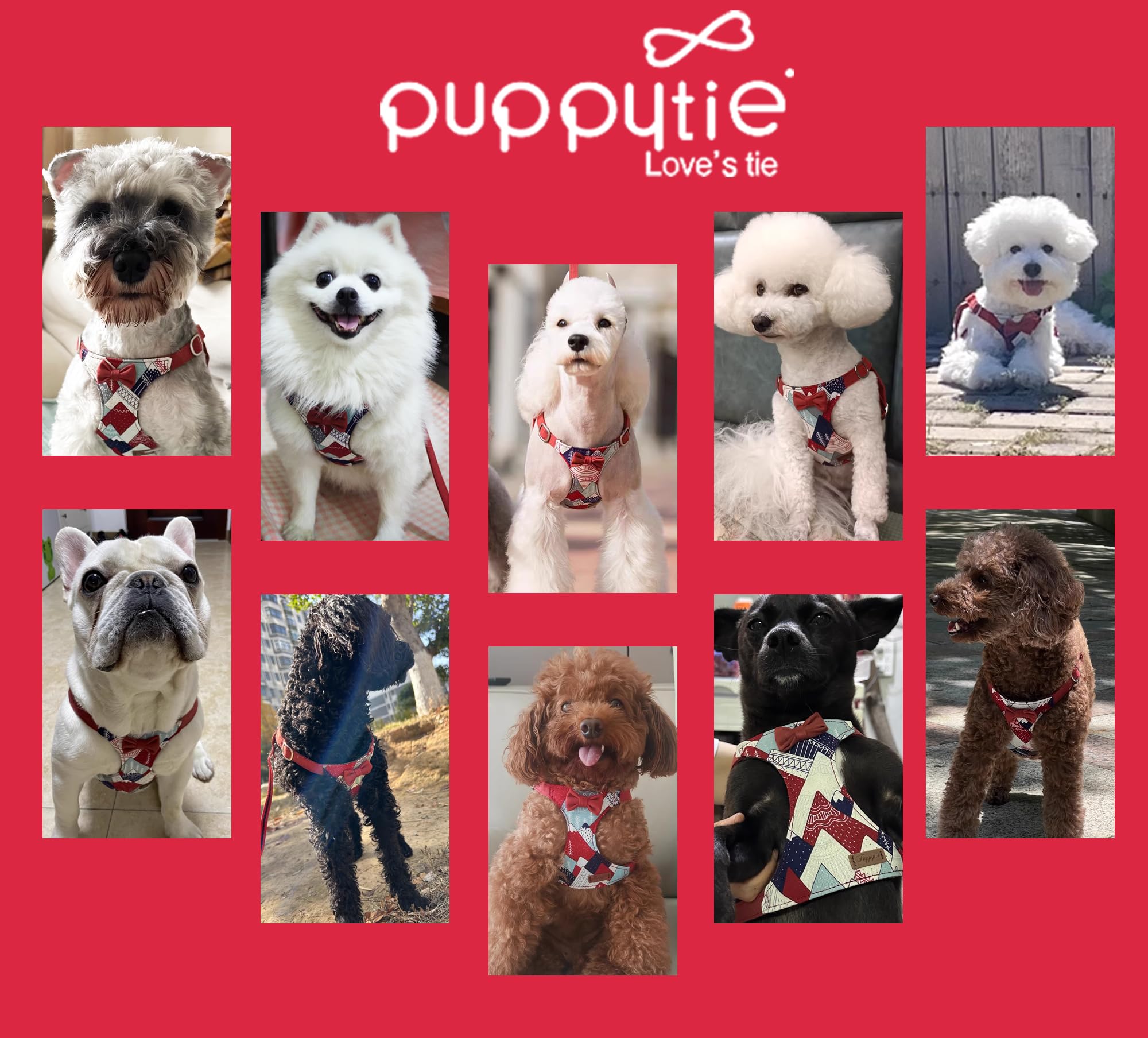 Puppytie empaque regalo listo para regalar.