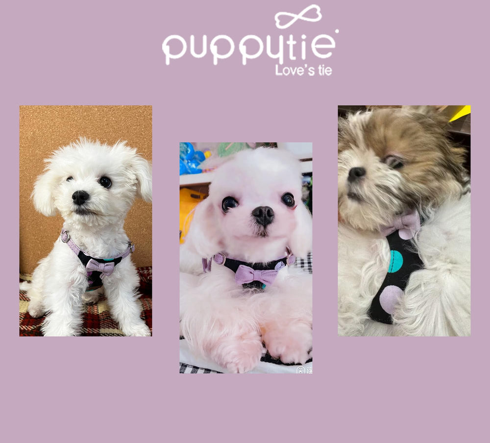 Puppytie servicio al cliente disponible y empaque listo para regalo.