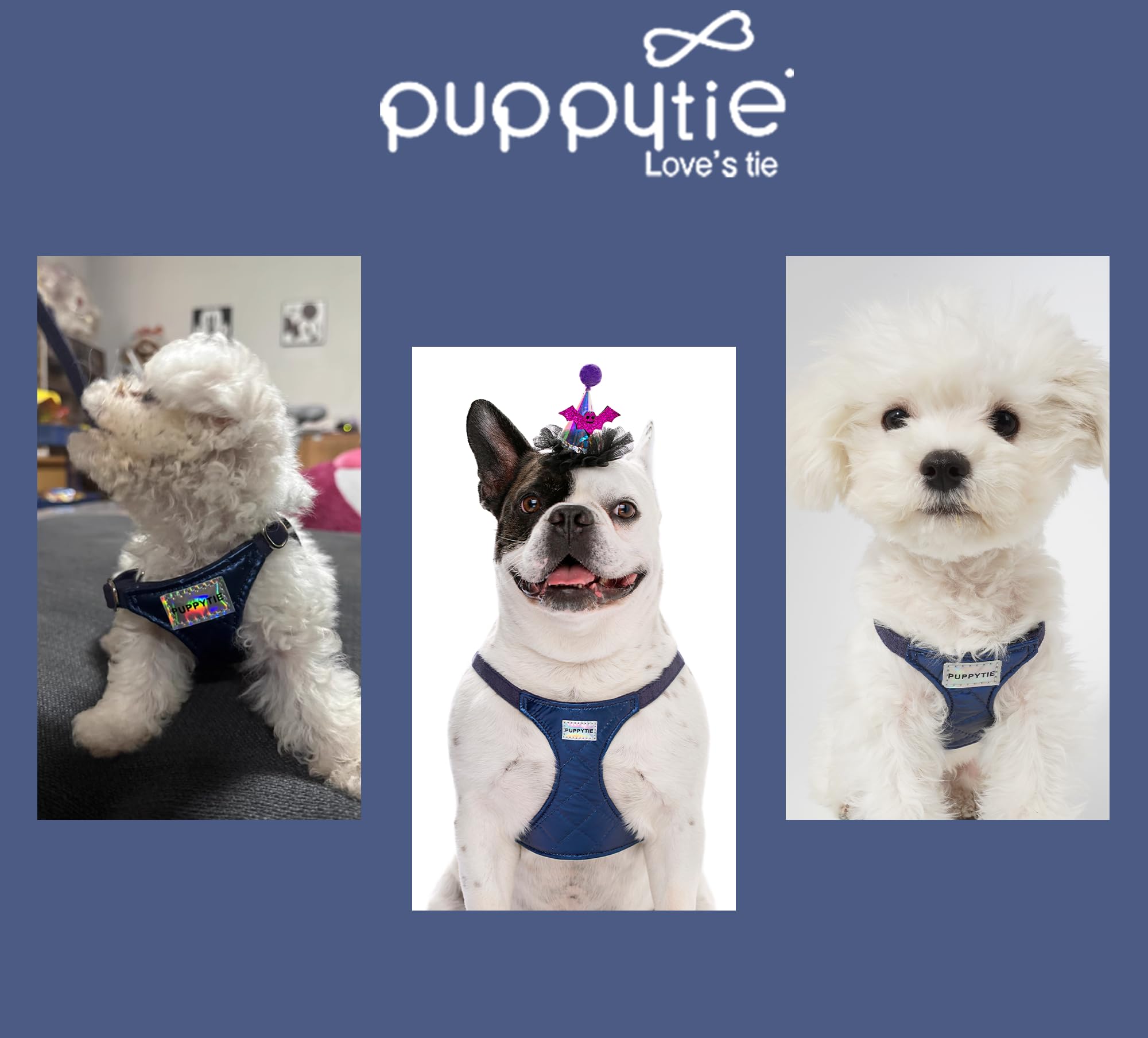 Embalaje regalo y servicio al cliente de Puppytie.