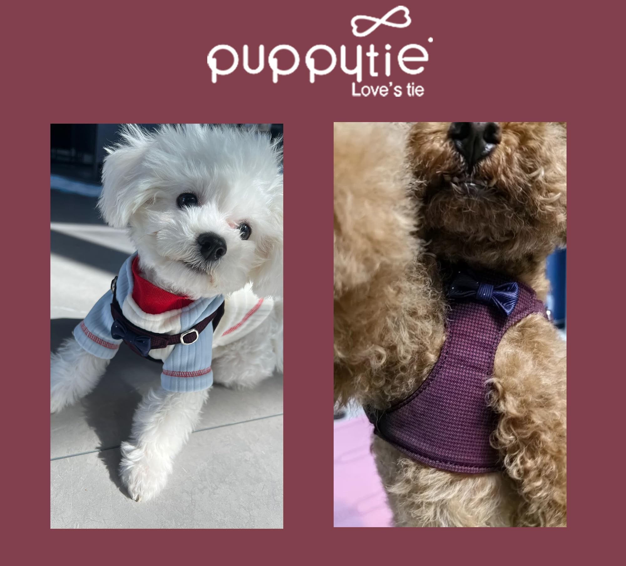 Empaque regalo Puppytie listo para perros pequeños.
