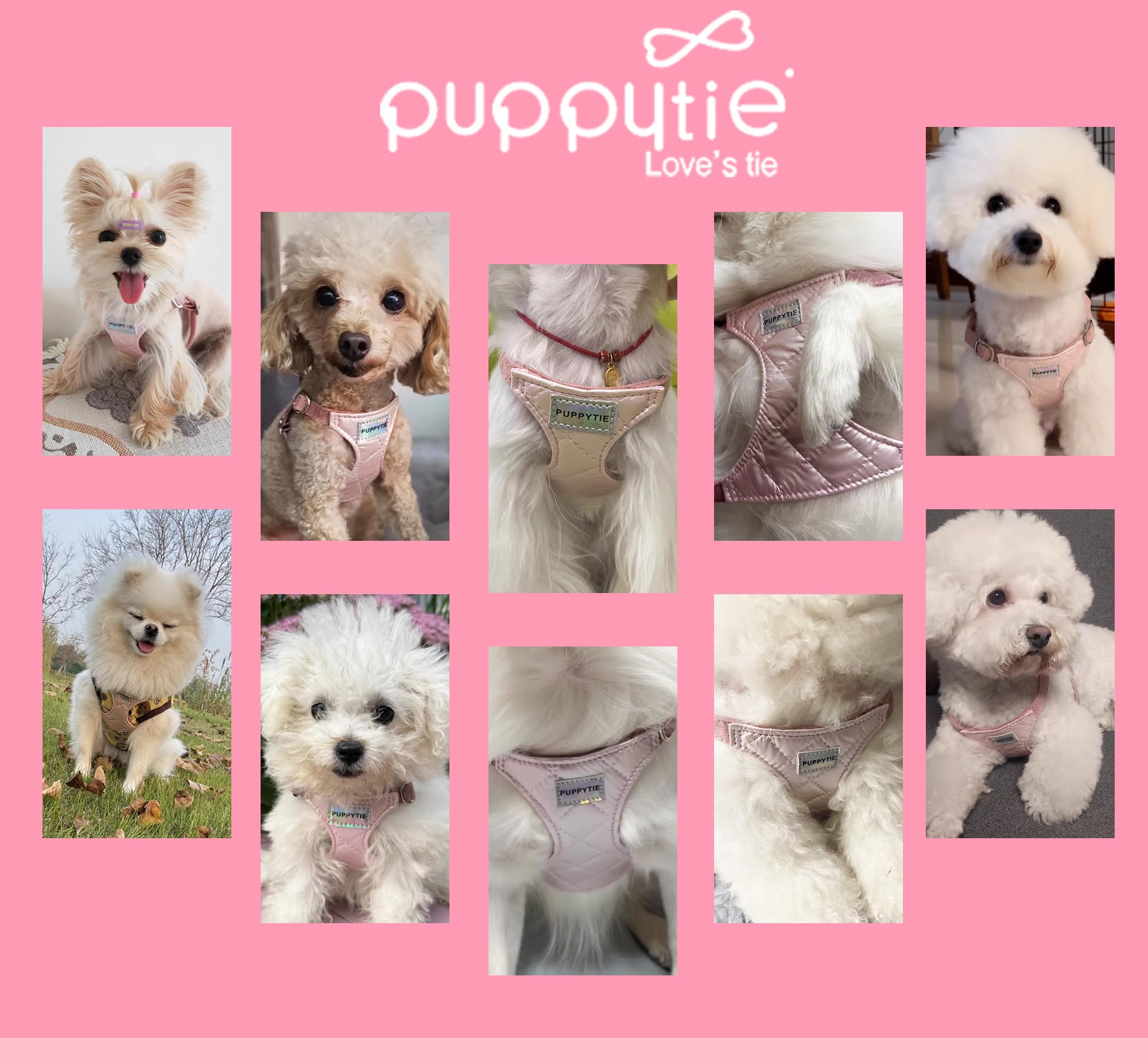 Puppytie herrajes resistentes al agua para uso diario