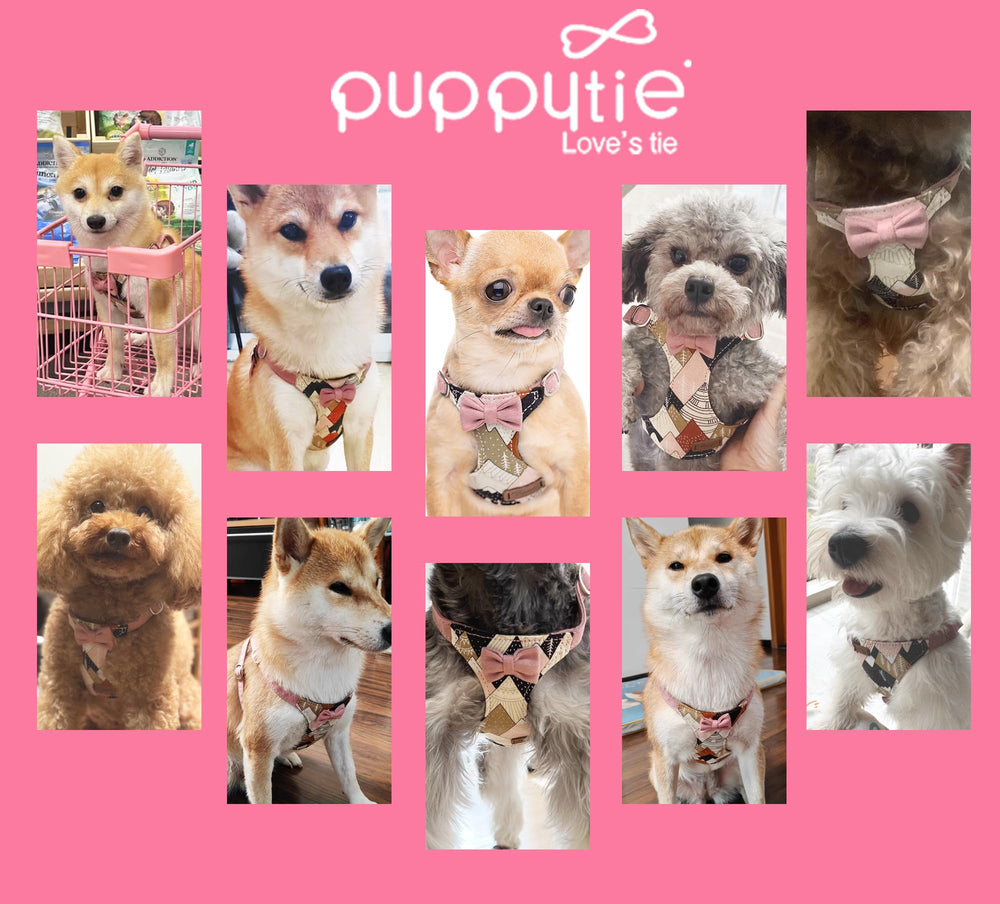 Guía de tallas Puppytie para perros medianos, ajuste perfecto.