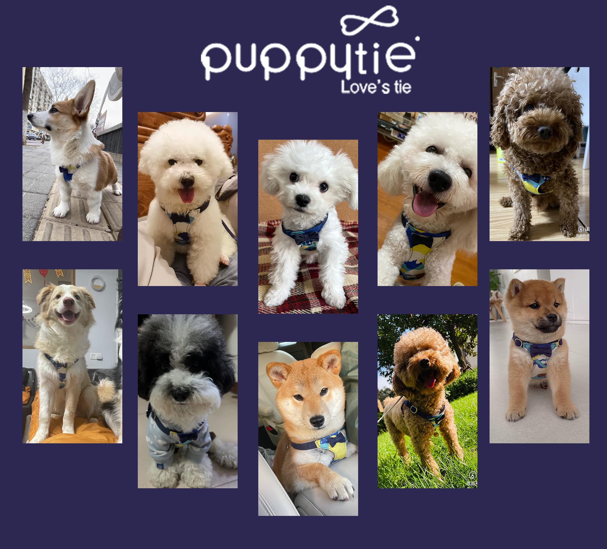 Puppytie No Pull XS, tela suave y duradera para uso diario.