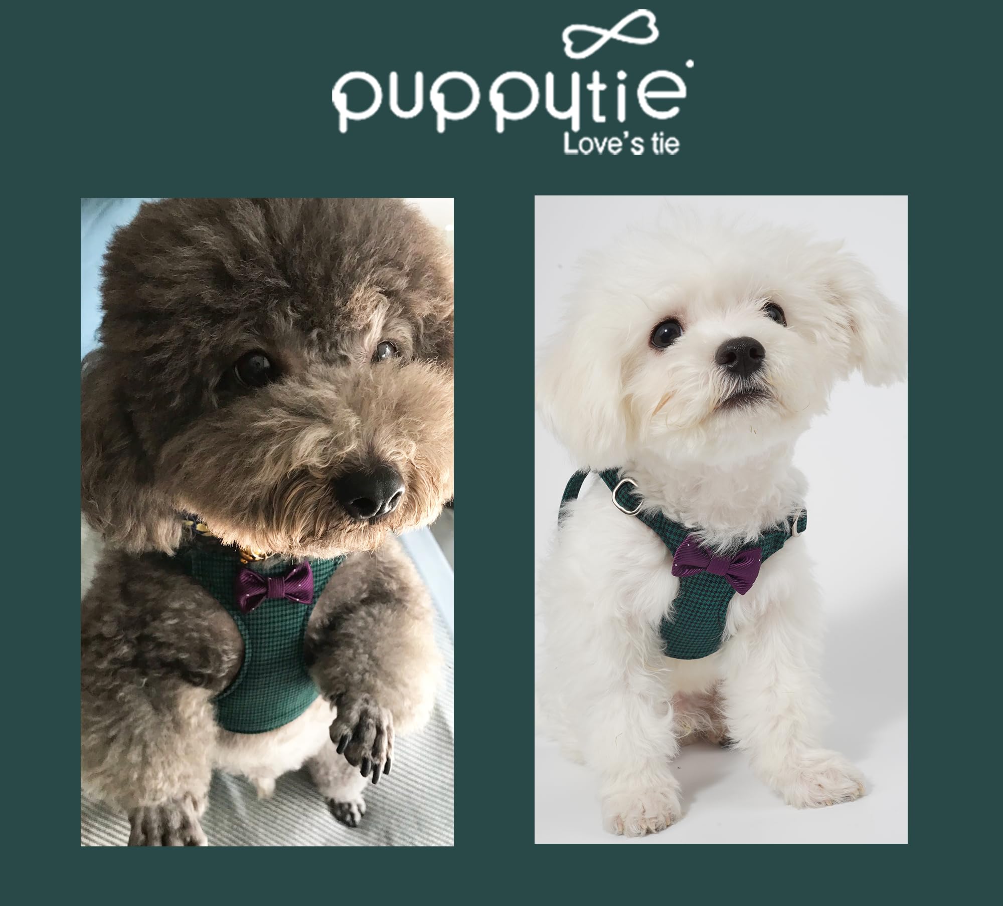 Presentación de Puppytie en plaid verde, estilo y regalo