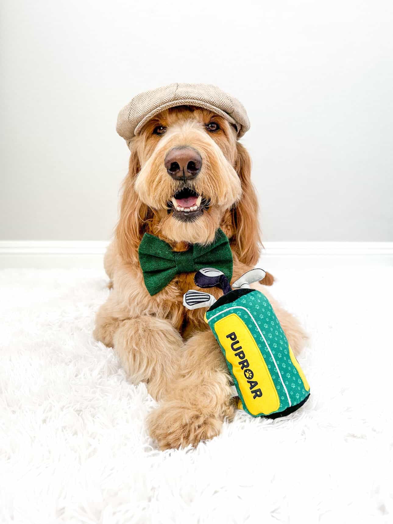 PUPROAR Golf Dog Toy con crujido para captar la atención del perro