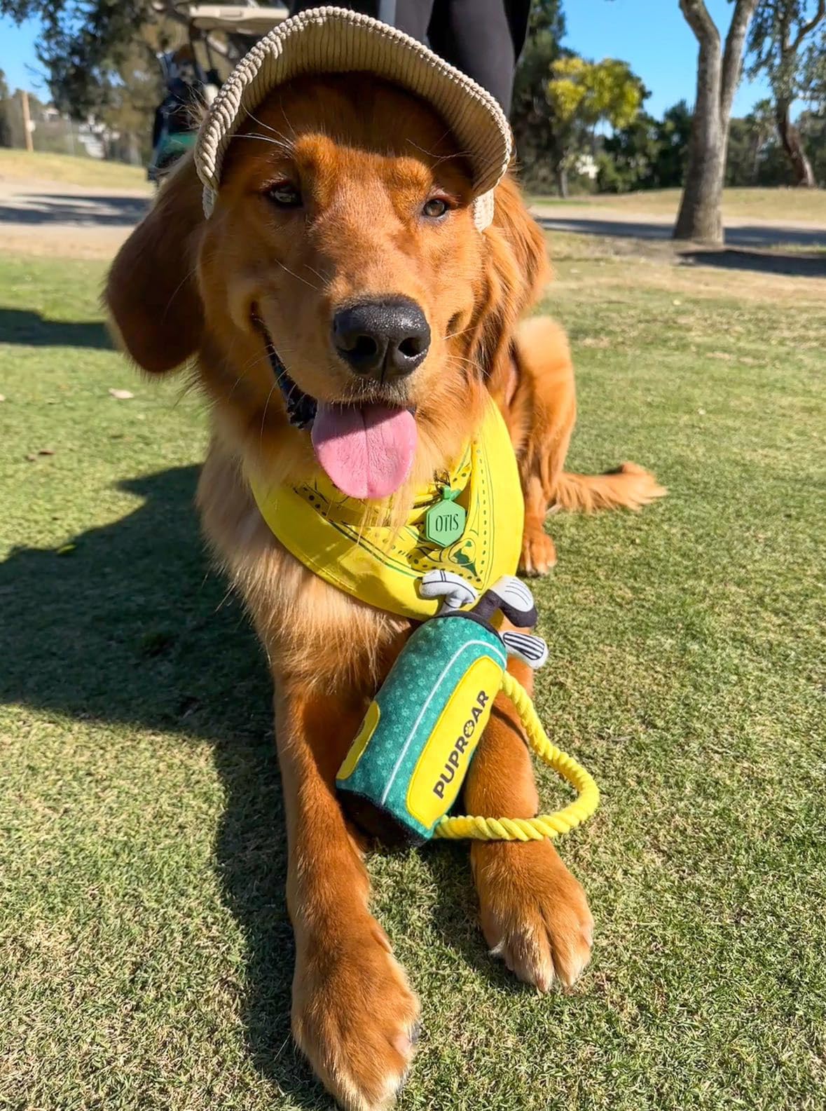 PUPROAR Golf Dog Toy con cuerda duradera para tirar y traer