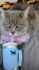 PUPROAR Kitty Cup con papel crujiente, sonido y textura atractiva para felinos.