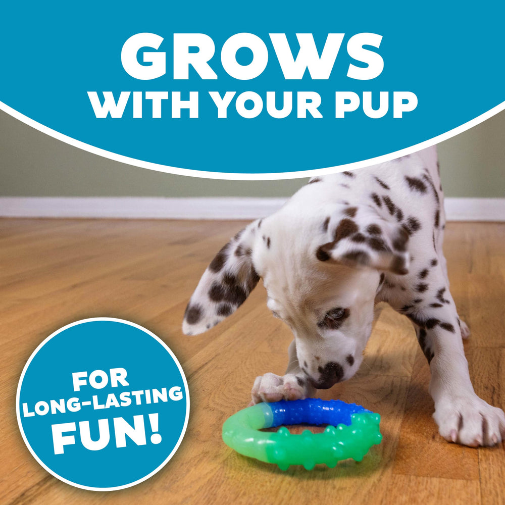 Pupstages Anillo Flota en Agua: ideal para juegos en casa o playa