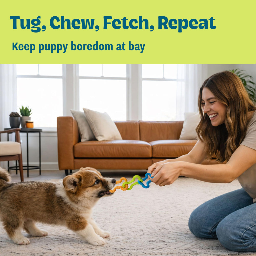 Pupstages Bone Tugz, tamaño ideal para lanzar y buscar