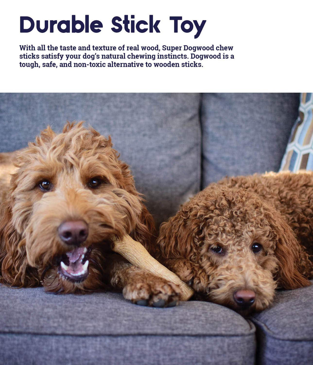 Pupstages durabilidad alta para perros activos y sesiones largas de masticación.