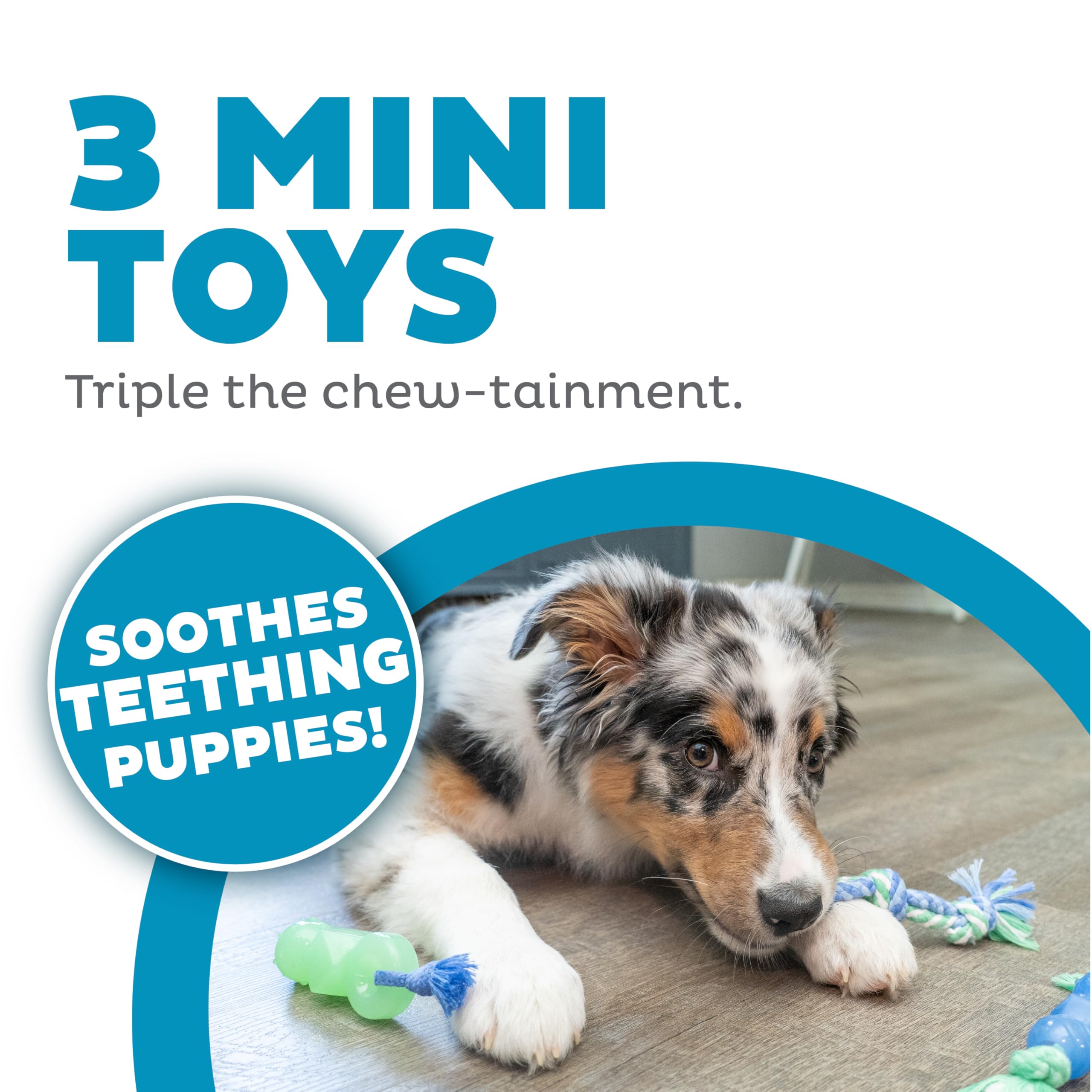 Pupstages Mini Dentachew juego de tirón para cachorros.