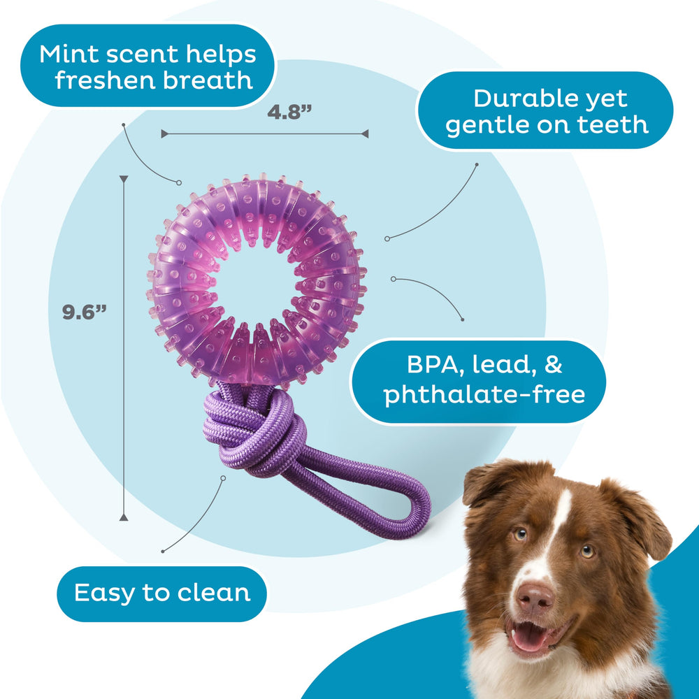 Pupstages Outward Hound juego de tirar, traer y morder de forma segura