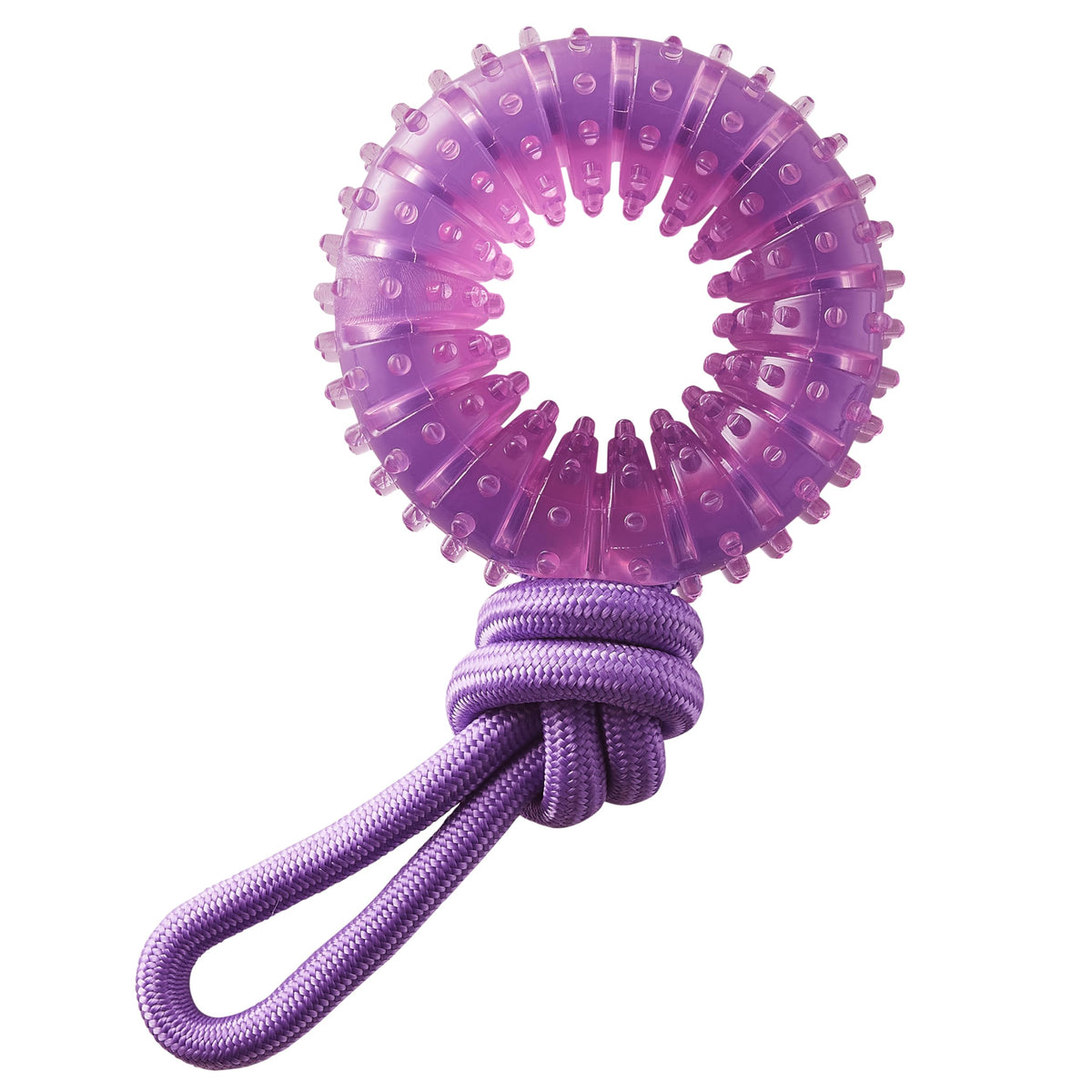 Pupstages Outward Hound rueda dental y cuerda morada para morder y limpieza dental