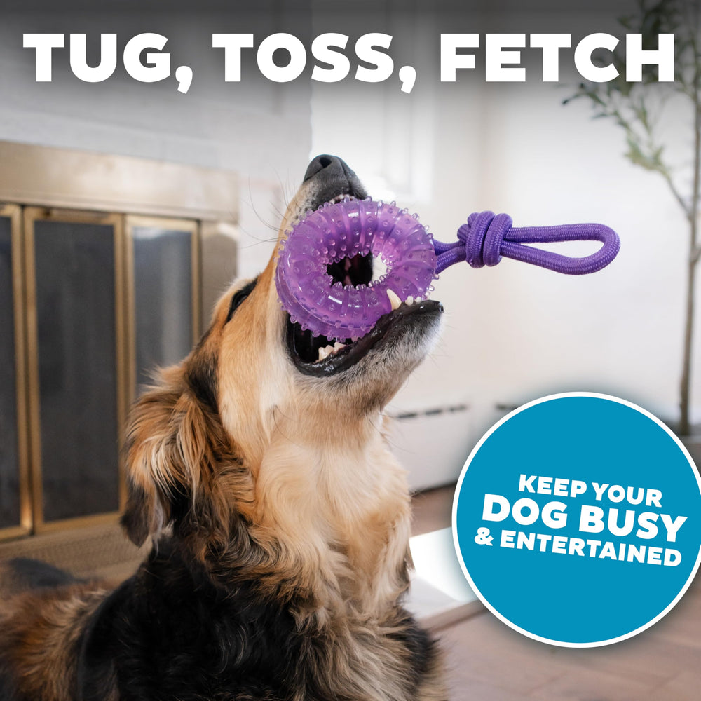 Pupstages Outward Hound seguridad sin BPA, plomo ni ftalatos