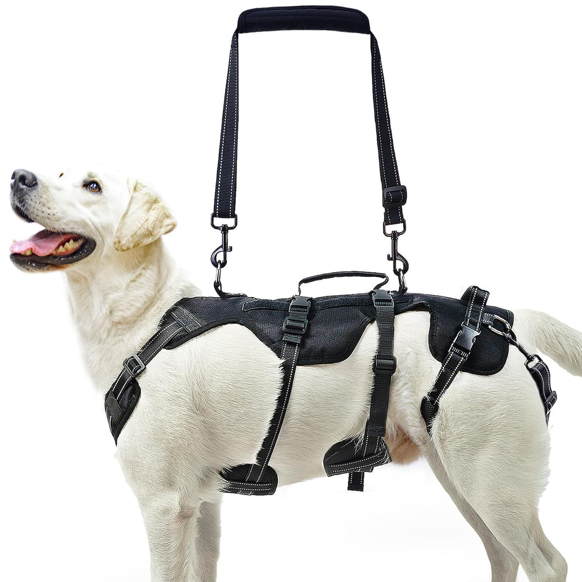 PUPTECK arnés de elevación con correas traseras desmontables para subir escaleras.