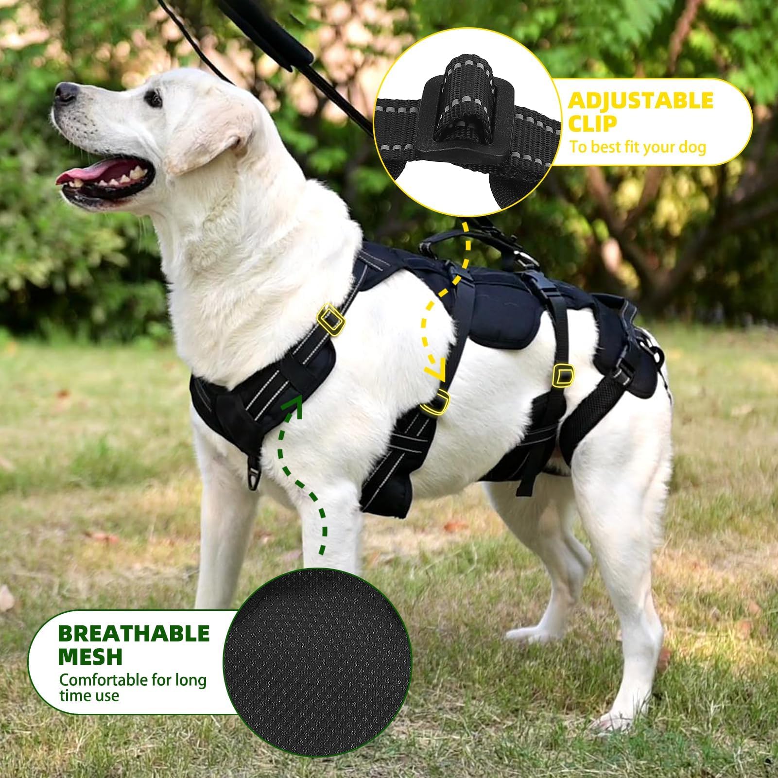 PUPTECK guía de tallas XL con medidas para ajuste seguro.