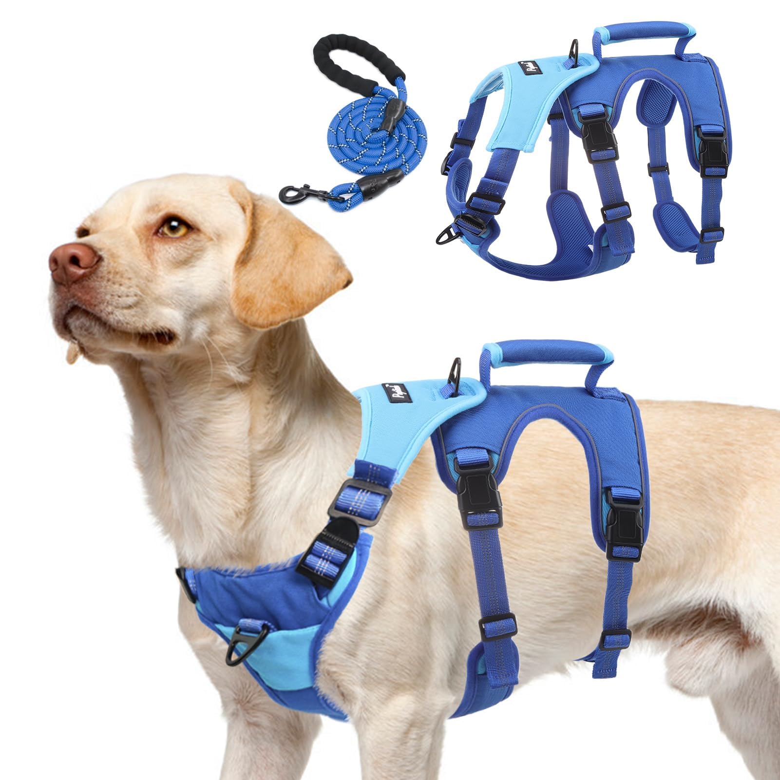 Arnés PUPTECK anti fuga azul talla M para paseos seguros y control.