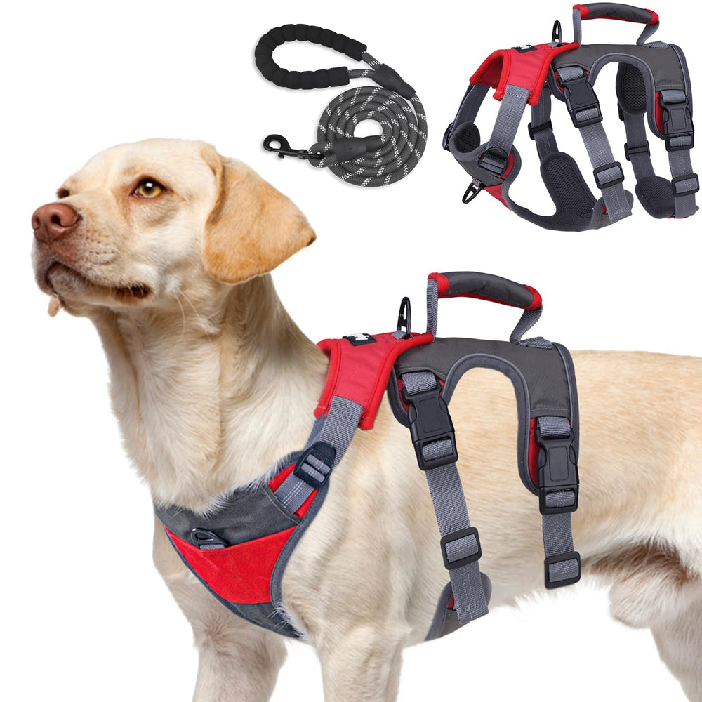 PUPTECK arnés con clip delantero para entrenamiento sin tirar y mayor control.