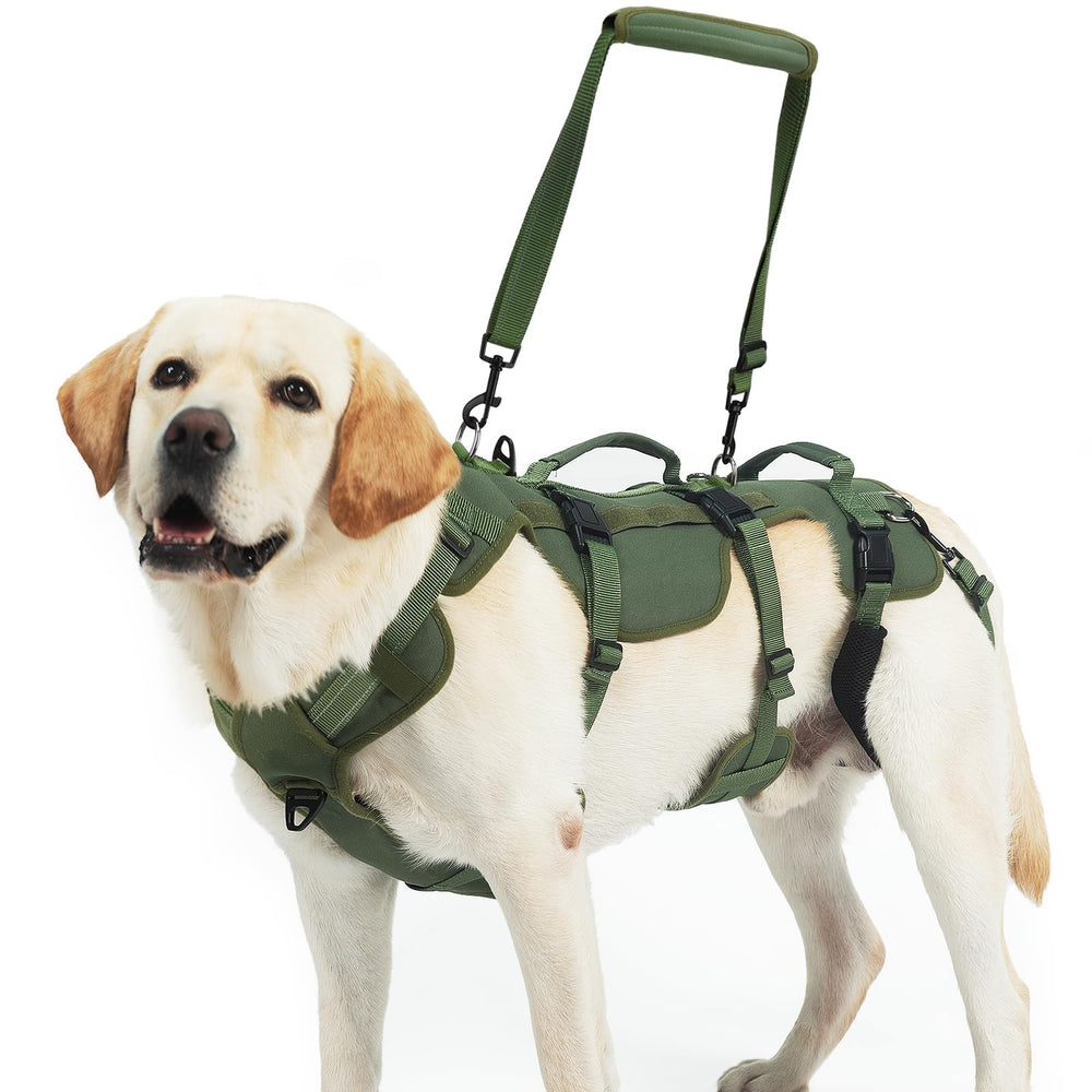 Arnés elevador PUPTECK para perros medianos y grandes facilita subir escaleras.