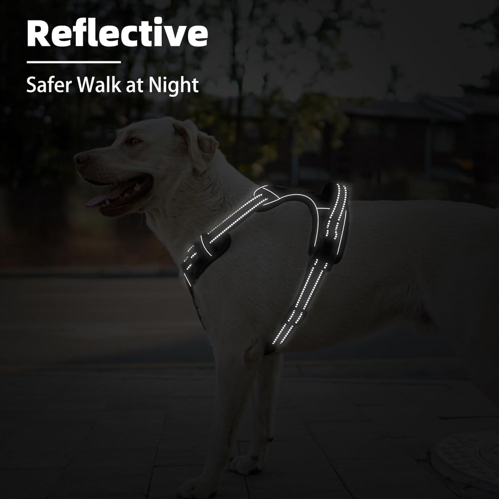 Arnés Pupteck ideal para paseos y entrenamiento diario de perros grandes.