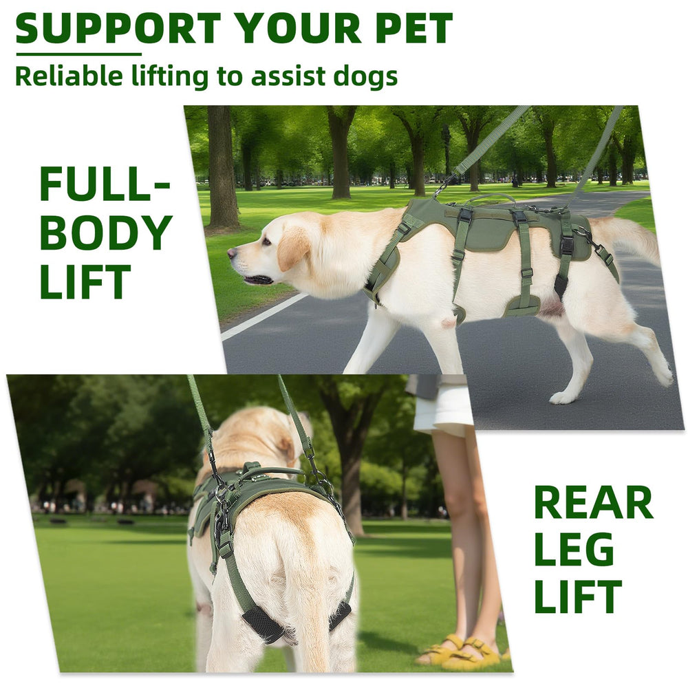 Asas de ayuda trasera PUPTECK para movimiento suave del perro.