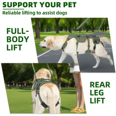 Asas de ayuda trasera PUPTECK para movimiento suave del perro.