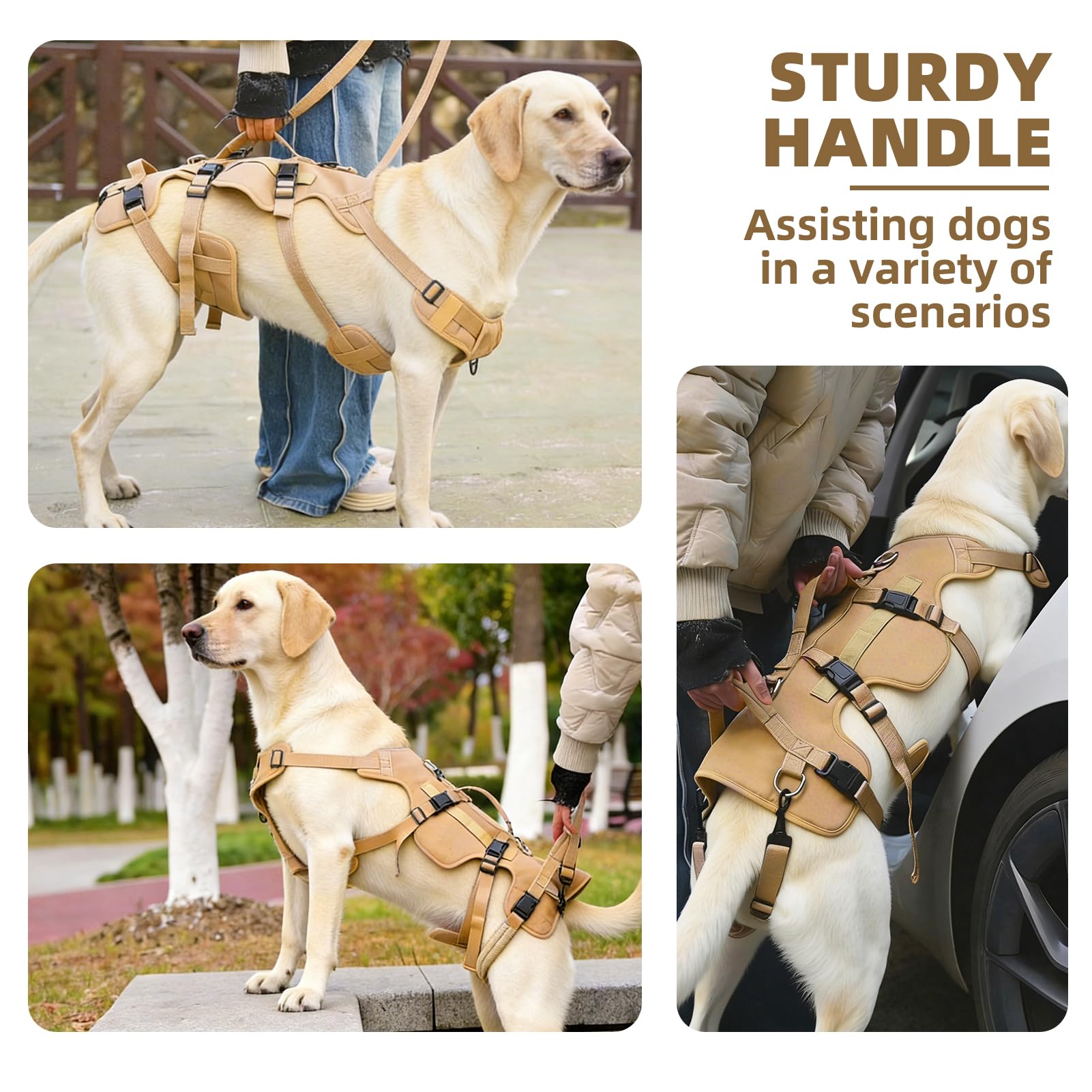 PUPTECK asas robustas para control rápido durante paseos