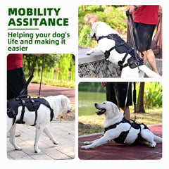PUPTECK Nylon resistente y malla transpirable para uso diario.