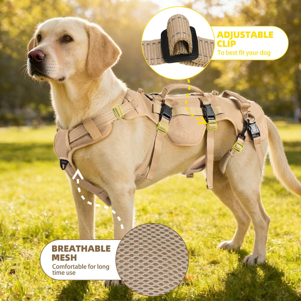 PUPTECK guía de tallas para un ajuste seguro
