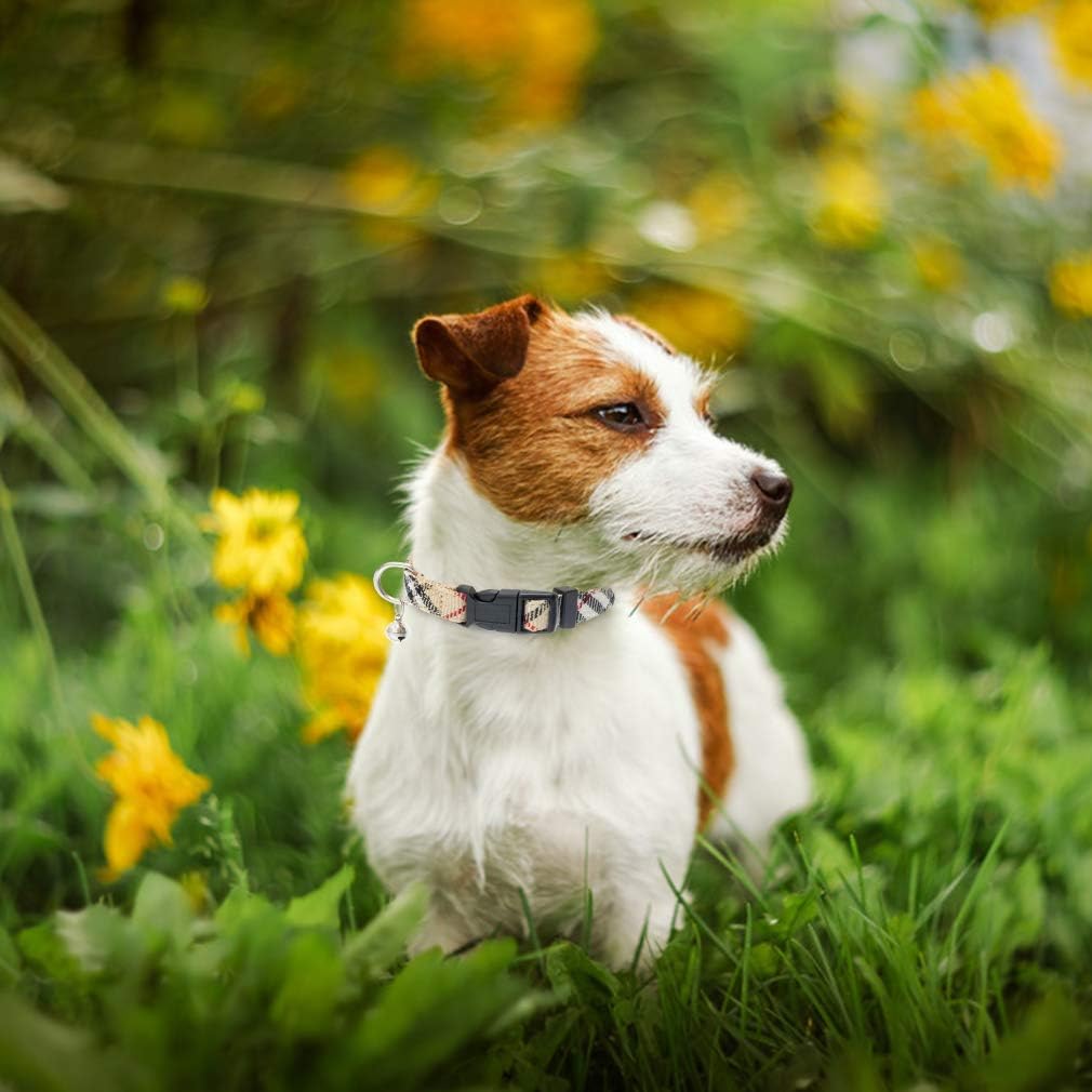 PUPTECK uso diario para perros pequeños durante paseo