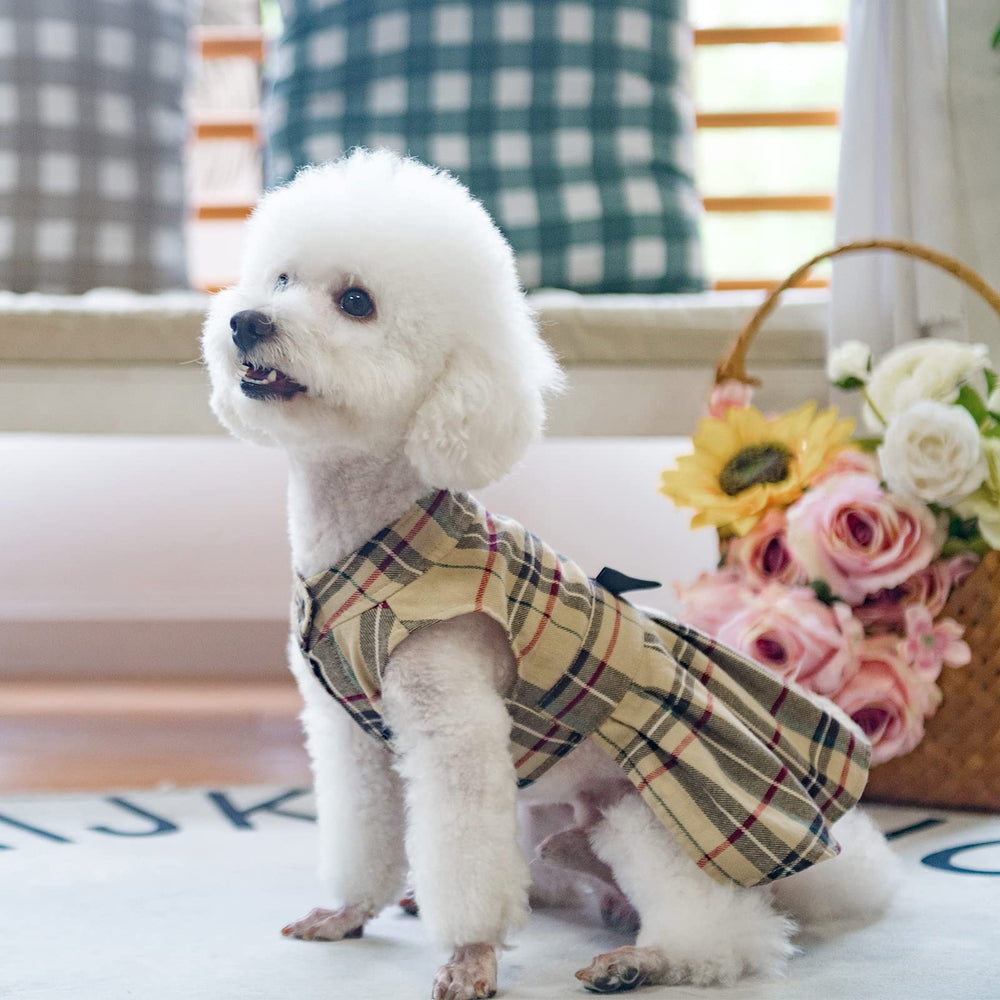 PUPTECK vestido para perro, ajuste cómodo y uso sencillo.