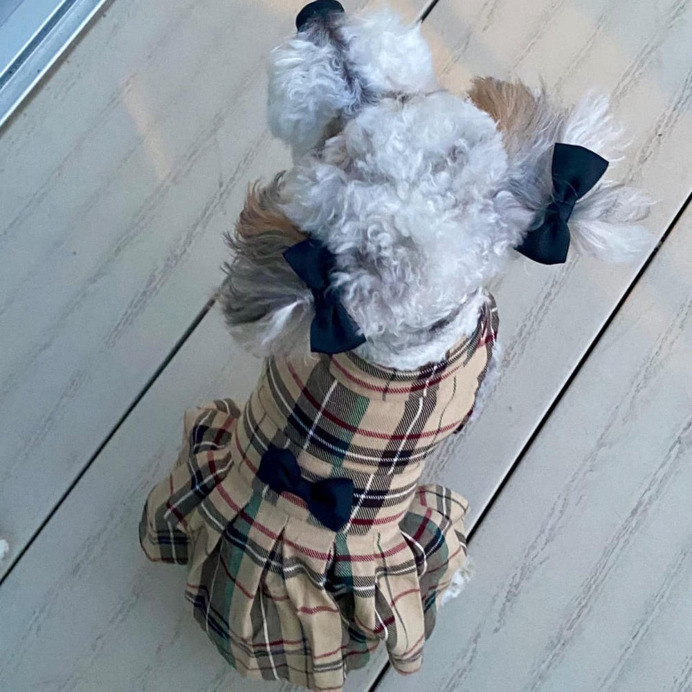 PUPTECK ideal para uso diario y fiestas, cómodo.